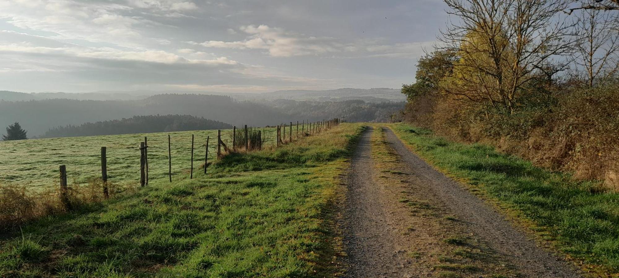 Appartamento Le Relais D'Anglards Esterno foto